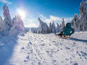 Tobogganing